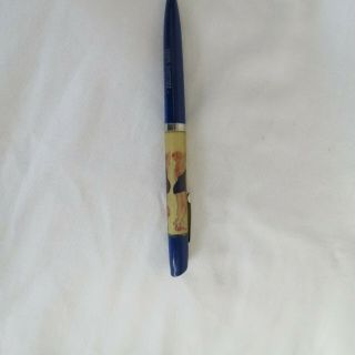 Vintage 1960s Floating Pen with 3 Nude Women Ft.  Collins CO Swimsuit Disappears 2