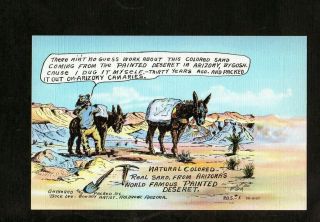 F378 Postcard Curt Teich Linen Man Packs Out Painted Sand Of Az Cowboy Buck Lee