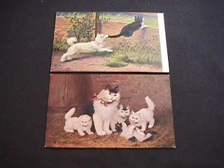 Mother Cat & Kittens And Dog Chasing Cat Vintage Postcards