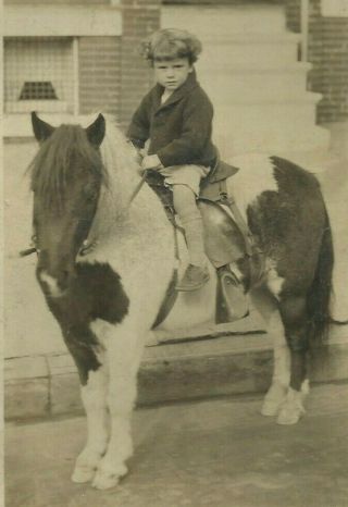 Cute Little Girl On Pony Horse Chicago 1925 Cabinet Photo Wj Nolan