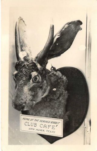 Rppc " Home Of The Horned Rabbit " Club Cafe Van Horn Tx Jackalope C1940s Postcard