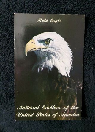 Bald Eagle National Emblem Of The United States Of America Vintage Postcard