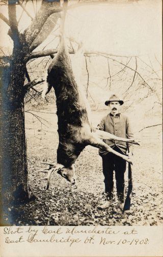 East Cambridge,  Vt Rppc Carl Manchester And The Deer He Shot 1908
