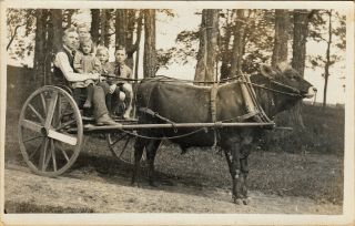 East Brookfield,  Vt Rppc Man And Four Children Riding In An Ox Cart 1907