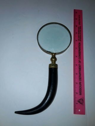Magnifying Glass With Curved Antler Horn Handle Large Antique Vintage