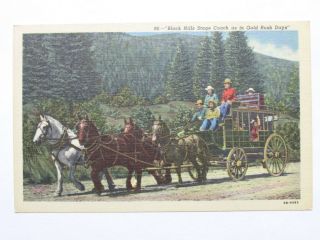 Vtg Black Hills Stage Coach Gold Rush Horses Usa Postcard Old
