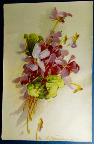 Postcard Artist Signed C Klein (catherine) Purple Violets Glossy Finish