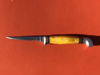 Vintage Rare Small Kinfolks Usa Y333 Hunting Knife 5 - 3/4” Long Made In Usa