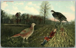 Exaggerated Pheasants Antique Postcard Sweet Dreams Hunter W/ Rifle