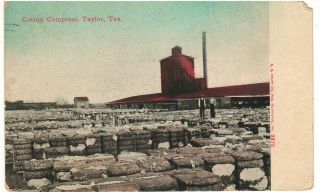 1910 Taylor Texas Cotton Compress & Cotton Bales Color Printed Photo Pc