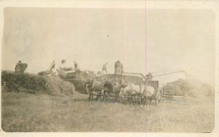Agriculture Farming C - 1910 Harvest Workers Horse Drawn Equipment Rppc 10539