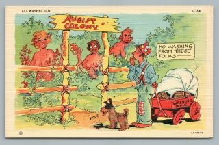 Nudist Colony “no Washing” Rare Vintage Nude Risque Comic Dog Curteich 1940s