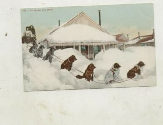 C.  1915 Alaska Dog Sled Team