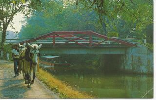 Postcard Pa Pennsylvania Hope Barge Ride Delaware Canal Mule Unposted