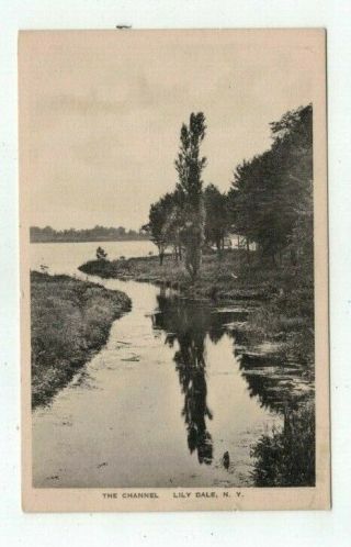 Ny Lily Dale York Antique Post Card " The Channel "