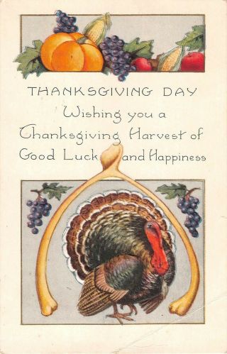 1924 Art Deco Whitney Thanksgiving Postcard Of Fruit & Wishbone Above Turkey