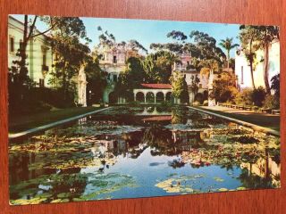 Vintage Postcard,  Lily Pond,  Balboa Park,  1956 Cancel Del Mar
