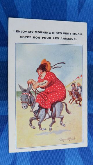 Vintage Donald Mcgill Comic Postcard 1921 Beach Donkey Bbw Large Lady Jockey