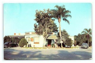 Vintage Postcard Cypress Gardens Triangle Gift Shop Winter Haven Florida H6