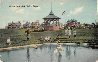 C22 - 3829,  Ocean Park,  Oak Bluffs,  Mass.  Antique Postcard,