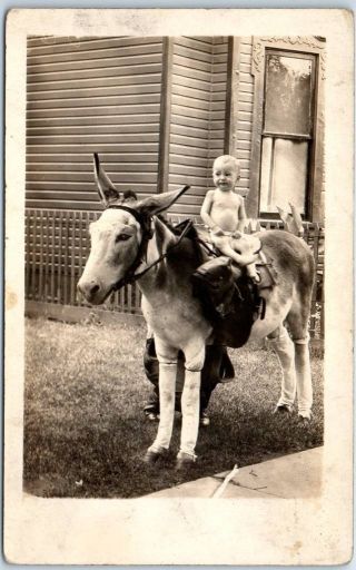 Vintage Rppc Real Photo Postcard Baby In Diaper Sitting On Donkey " Johnny " 1910s