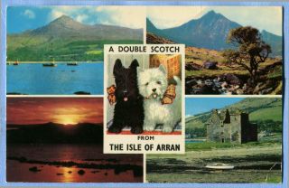 The Isle Of Arran Scotland - A Double Scotch - Vintage Postcard