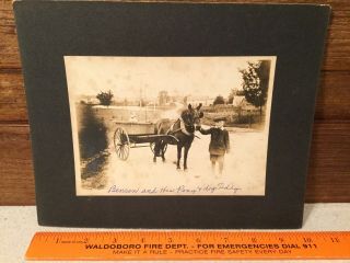 C.  1908 Photo Of Boy With His Pony,  Pony Cart And Dog Teddie