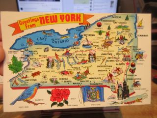 Vintage Old Postcard York Cartoon State Map Lake Ontario Greetings Bird 1/3