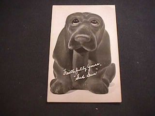 Faithfully Yours " Sad Sam " Black Dog Photo Postcard