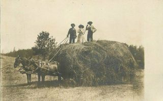 C - 1910 Farm Agriculture Hay Harvest Horse Wagon Rppc Photo Postcard