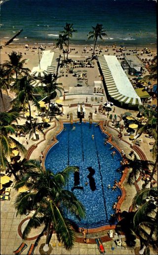 Raleigh Hotel Aerial View Swimming Pool Miami Beach Florida 1950s Postcard