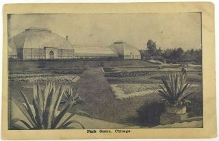Park Scene Chicago Illinois Il Greenhouse Garden View 1900 