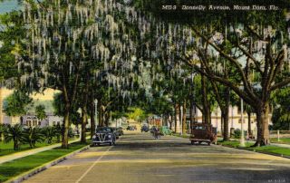 Mount Dora,  Florida - Cars Parked On Tree Lined Donnelly Avenue - In 1949