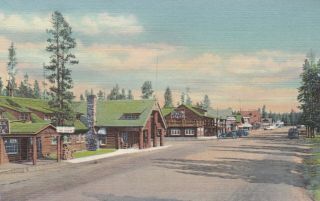 West Yellowstone Montana Linen Postcard 1940 