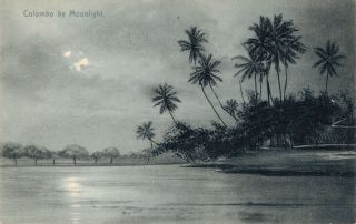 Ceylon Sri Lanka Colombo By Moonlight 01.  95