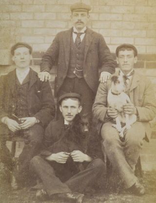 Charming 1890s Cabinet Card Photo Group Of Men With Dogs By Harris Dover