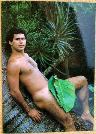 Risque Postcard - Naked South Seas Island Man Leaning With Leaf