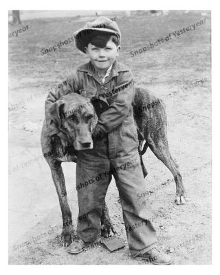 1910s Era Vintage Photo - Proud Little Boy With His Large Dog - Overalls - 8x10 In