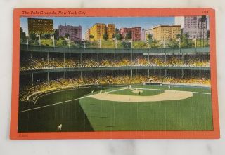 Vintage York Giants Baseball Polo Grounds Ny City Postcard