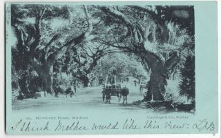 India; Mowbray Rd,  Madras Ppc By Combridge & Co,  1903 South Norwood Pmk