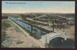 Postcard Venice California/ca The Lagoons Bird 