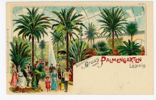 Gruss Vom Palmengarten—leipzig Antique Ak Rare Early Greenhouse Interior 1900