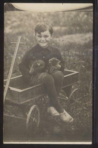 Rp Postcard Boy In Wagner Coaster Wagon W/pet Kitten & Rooster?/chicken 1910 