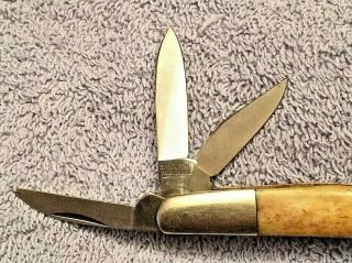 VINTAGE PARKER CUTLERY CO.  6 - BLADE CONGRESS SMOOTH BONE POCKET KNIFE 6