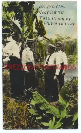 Tinted Rppc - 4 Men In Boater Hats At Banana Plantation Ca1908