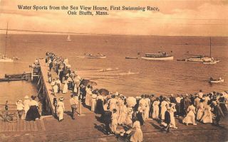 Oak Bluffs Ma Water Sports From Sea View House Swimming Race Postcard