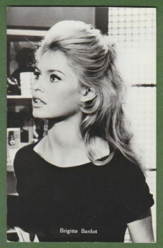 Brigitte Bardot Vintage Glossy Photo - Postcard