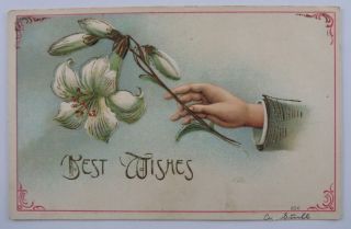 Vintage Embossed Postcard Best Wishes Hand Holding Lily Flowers Gold Highlights