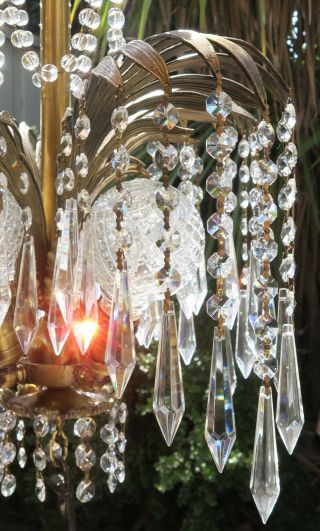 Monkey Chandelier crystal Palm frond tree brass bronze swag lamp Prisms beads 12