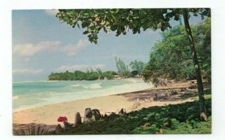 Barbados Vintage Post Card " Holetown Beach " St James
